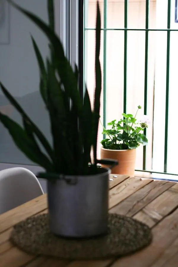 Apartamento Ideal Para Estancias Largas Y Teletrabajo Seville 0*,