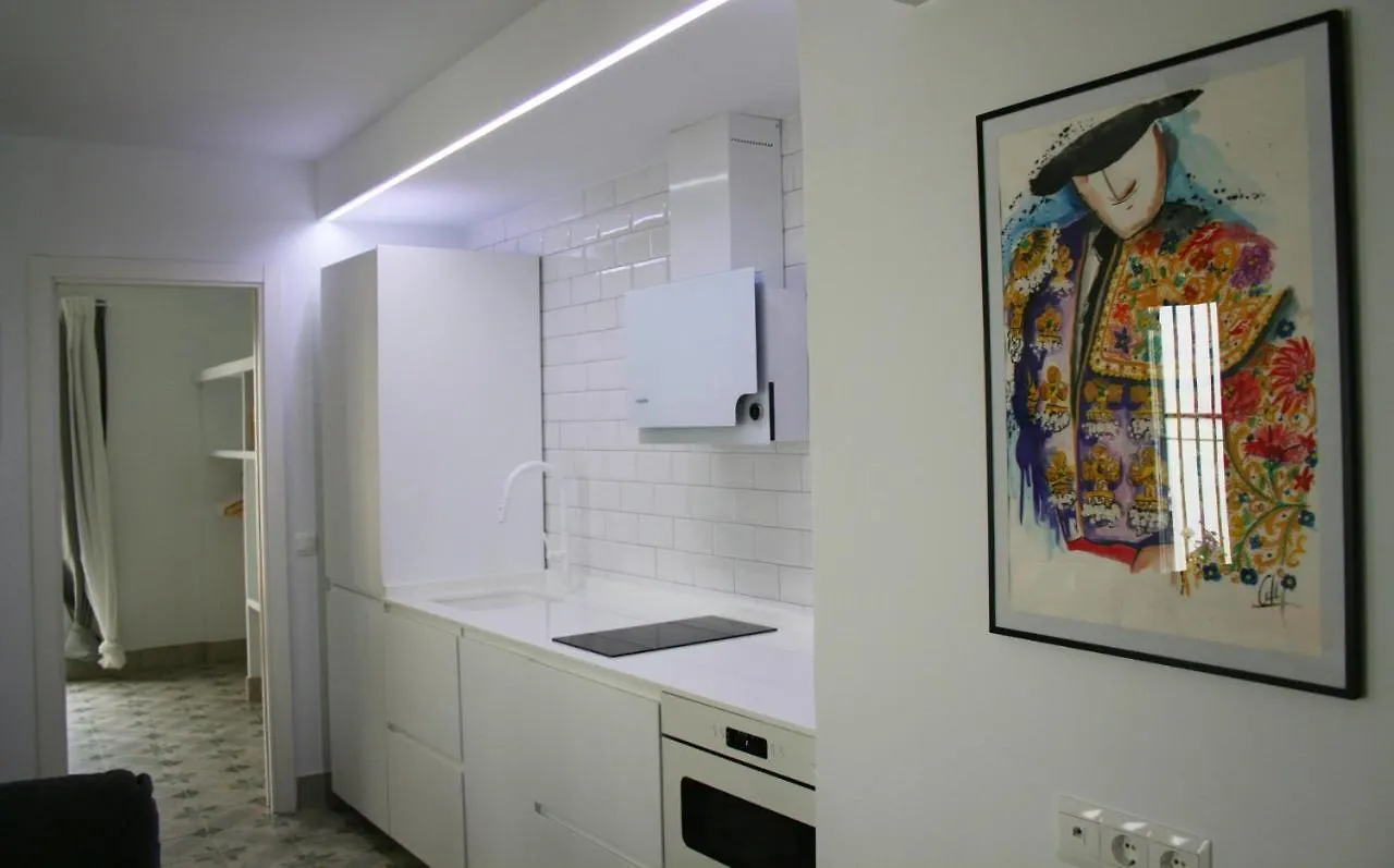 Apartamento Ideal Para Estancias Largas Y Teletrabajo Seville Apartment